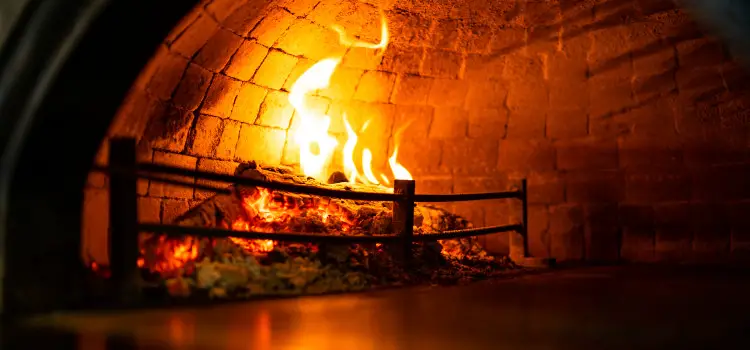 what can you cook in an outdoor pizza oven