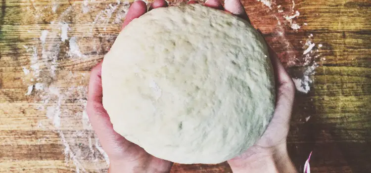 rising pizza dough