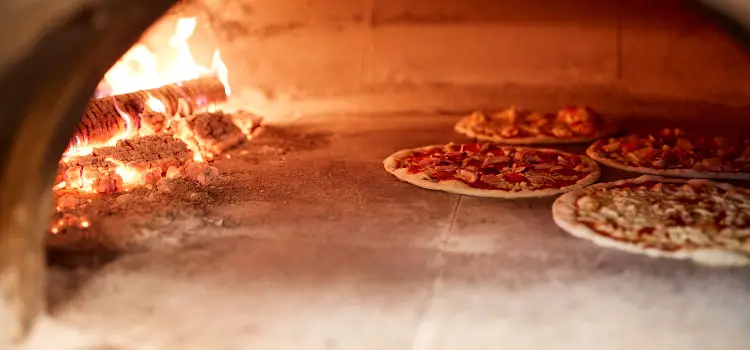 Neapolitan Pizza oven