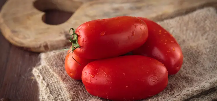San Marzano tomatoes